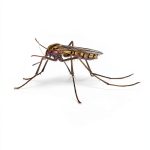The Insect World by Dutton Kindle Edition 496‑Page Science Guide-0
