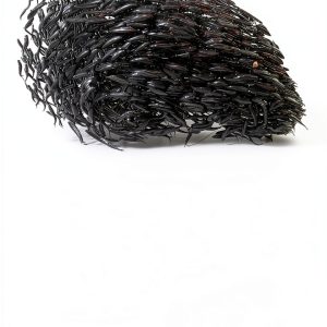 Architect Elevator Book Series Cloud Computing Guide by Amazon Kindle-0